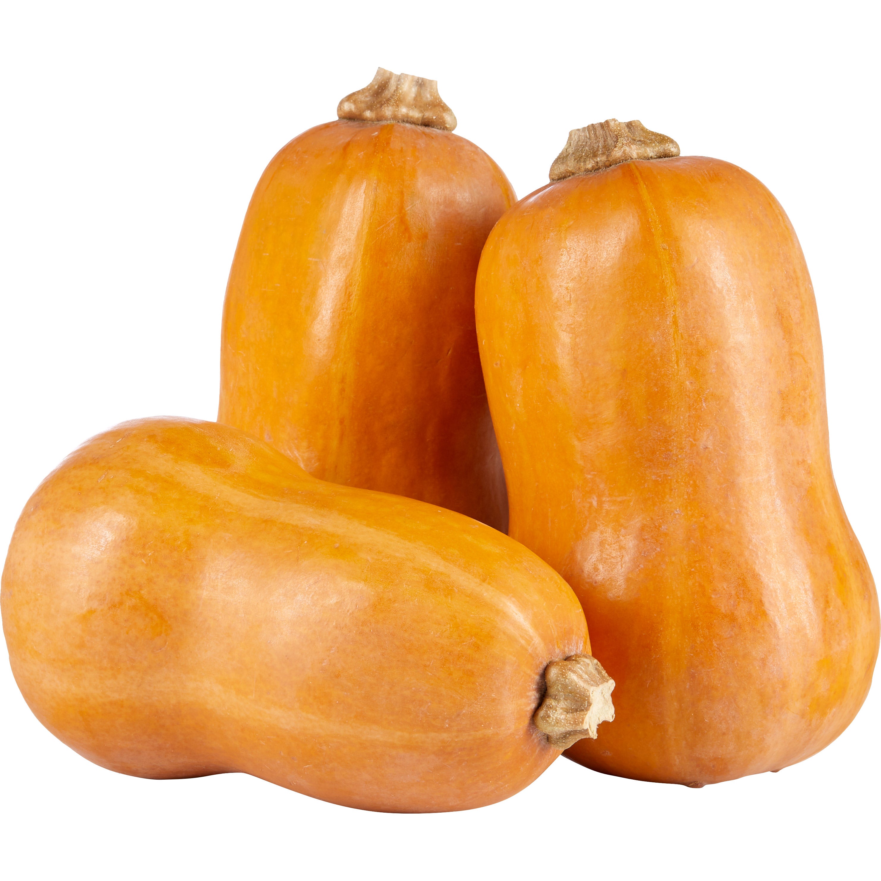 HONEYNUT SQUASH 3 COUNT