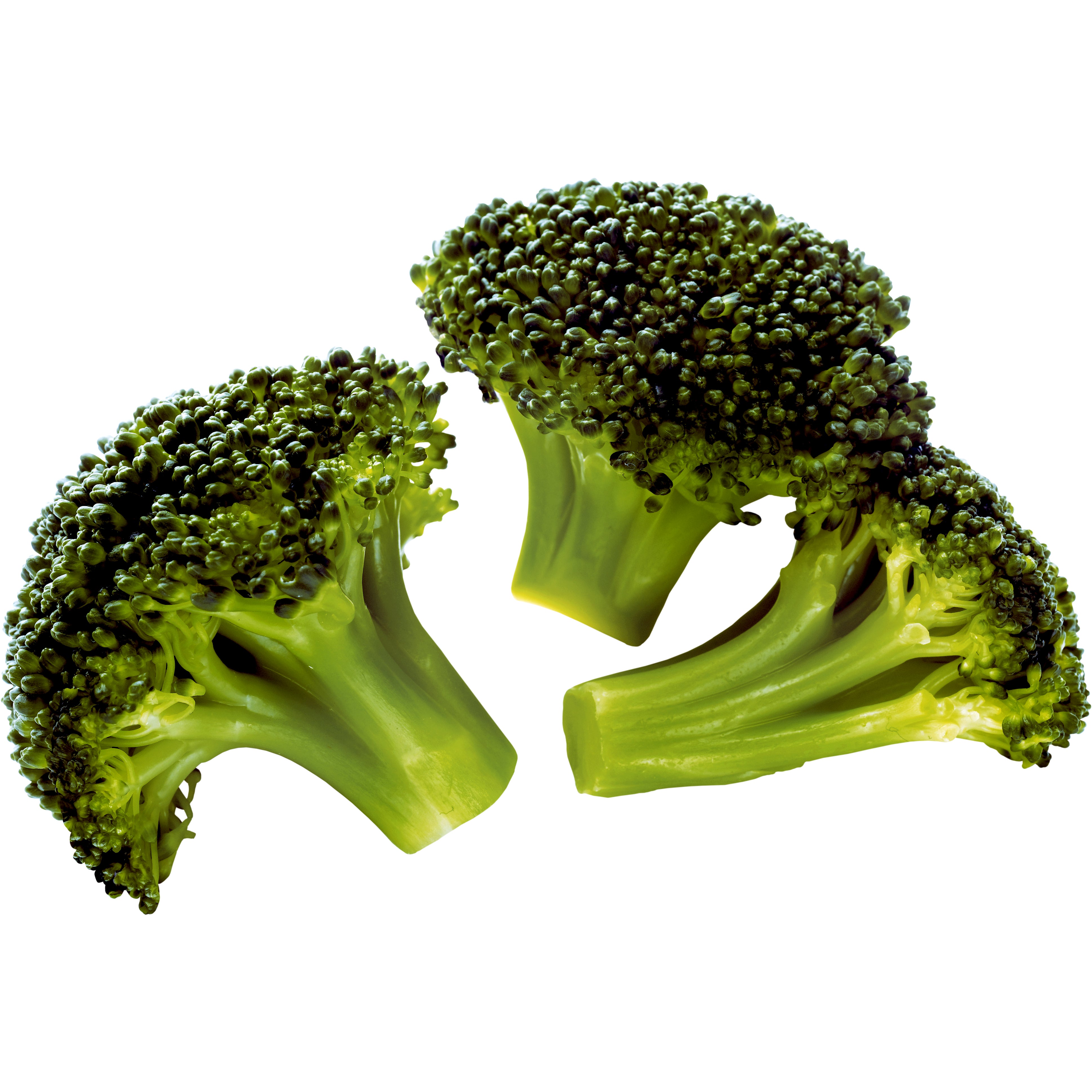 BROCCOLI FLORETS 3 LBS