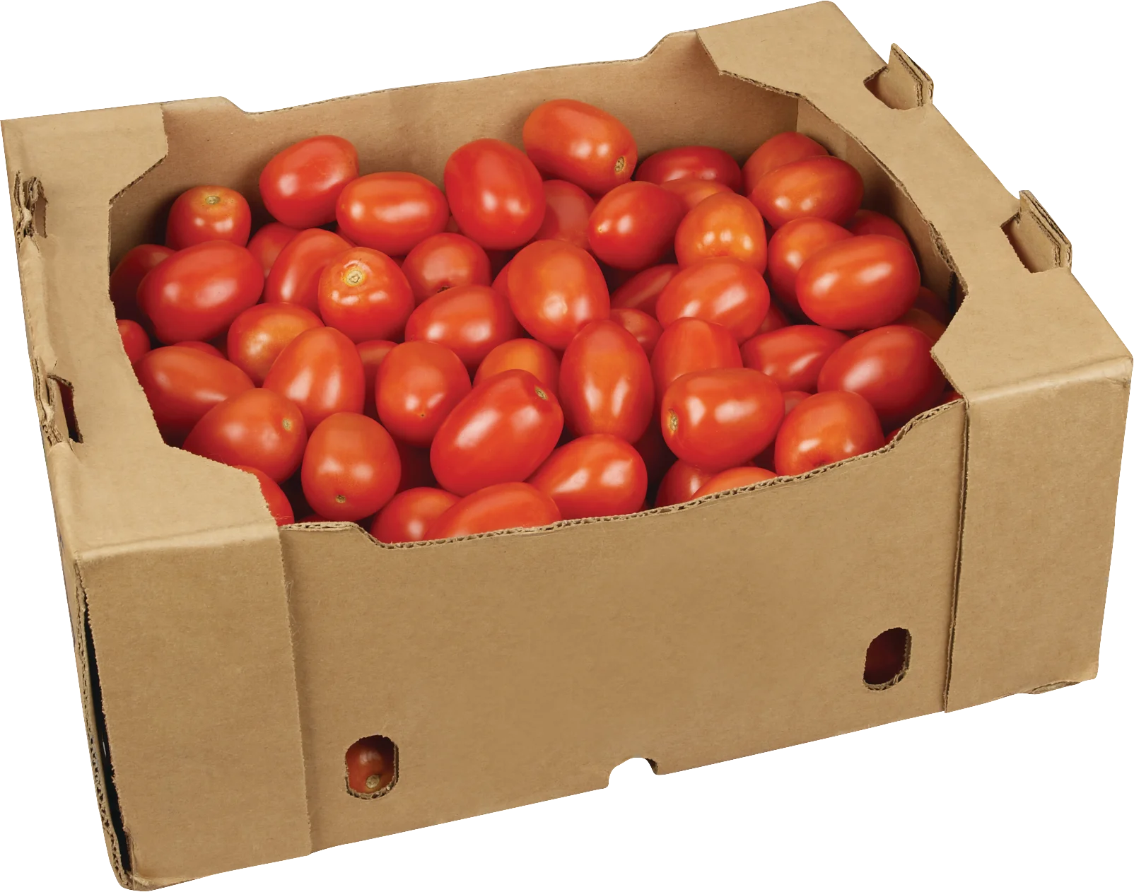 ROMA TOMATOES LOOSE FILL - MEDIUM 25 LBS