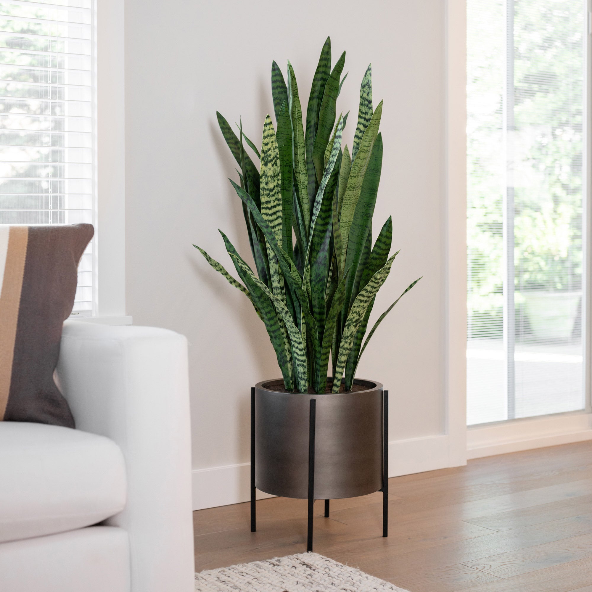 C.G. HUNTER FAUX 53¨ SNAKE PLANT WITH METAL STAND - Image 1