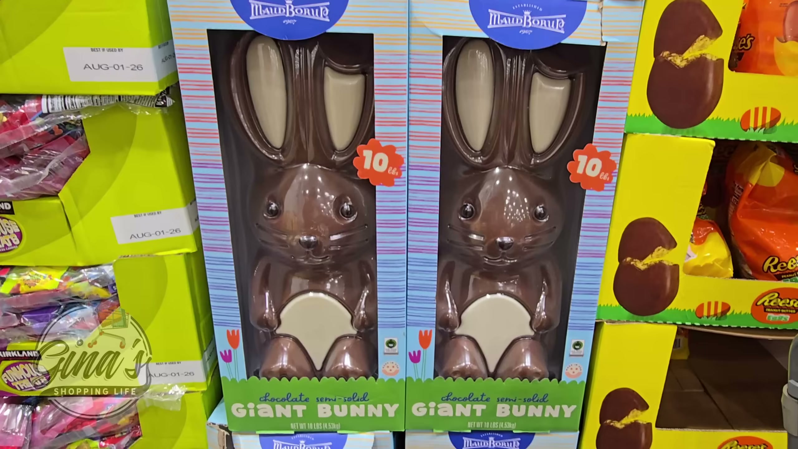 Maud Borup Giant Chocolate Bunny 160 Ounce Container (#1992131