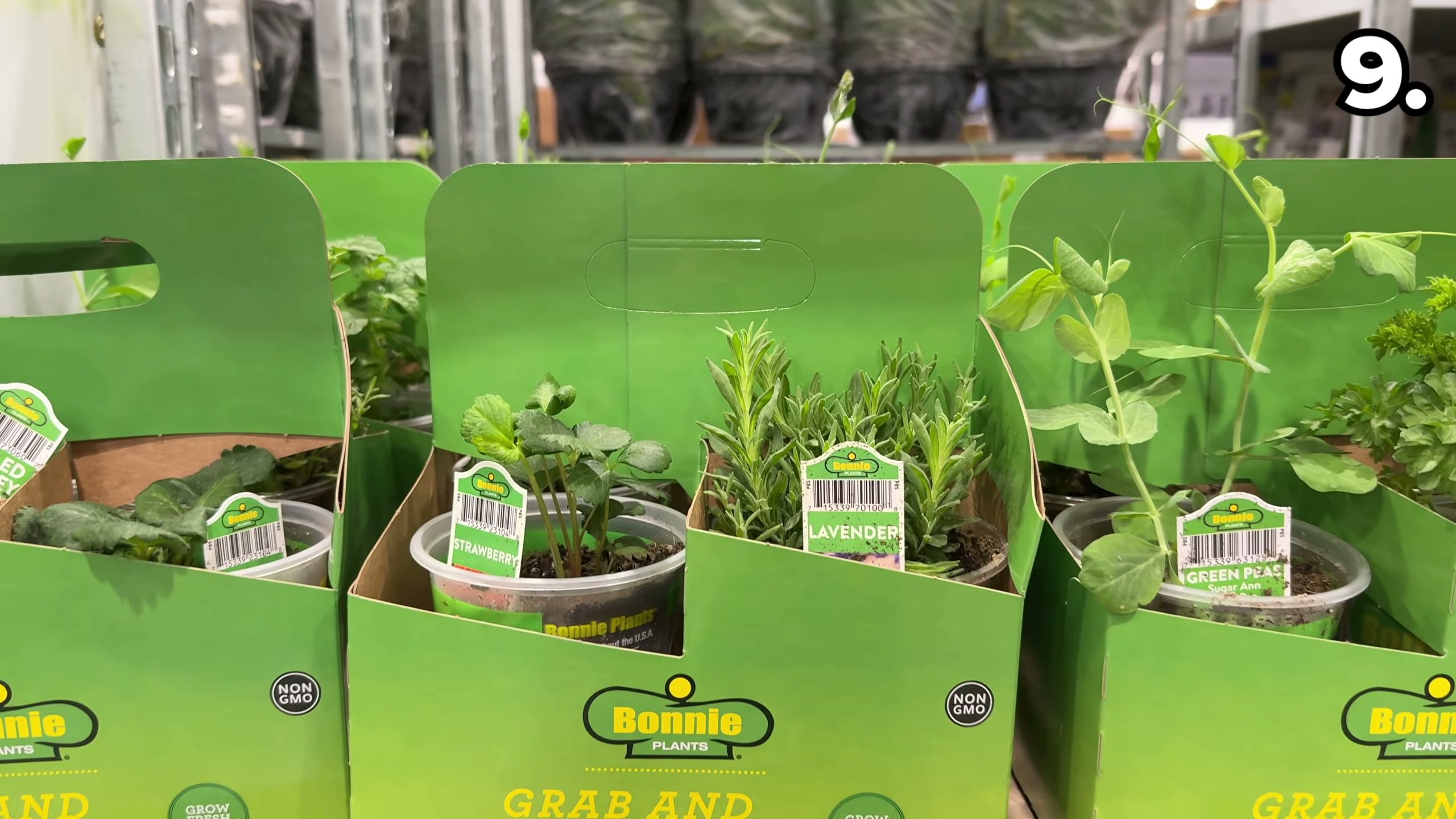 ECOST Rich Herb 4個セット×3 Vegetable/Herb 4-Pack Assorted Varieties 77.2 oz (#1261919) - $14.99