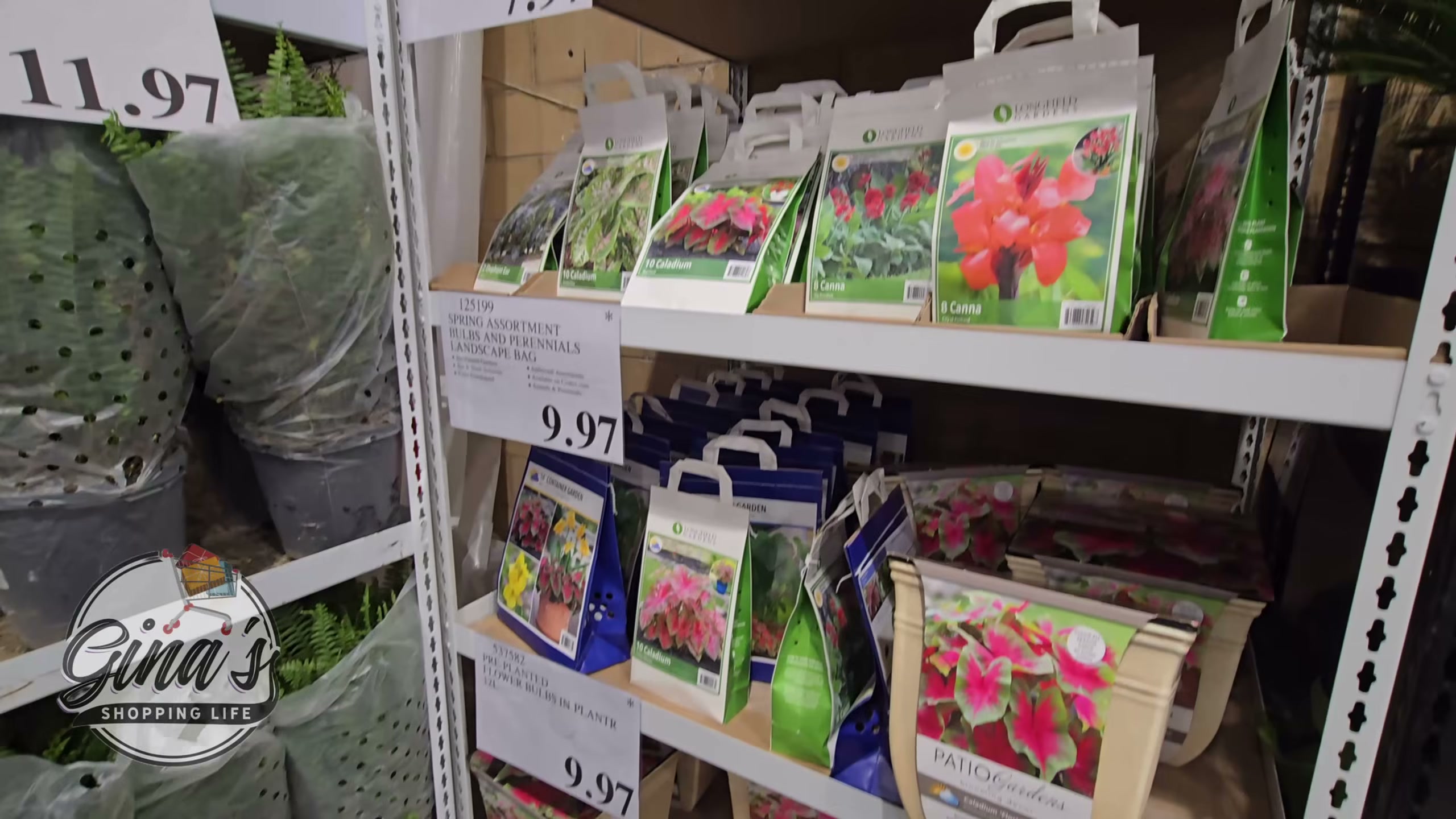 Spring Assortment Bulbs and Perennials Landscape Bag (#125199) - $8.97 ...