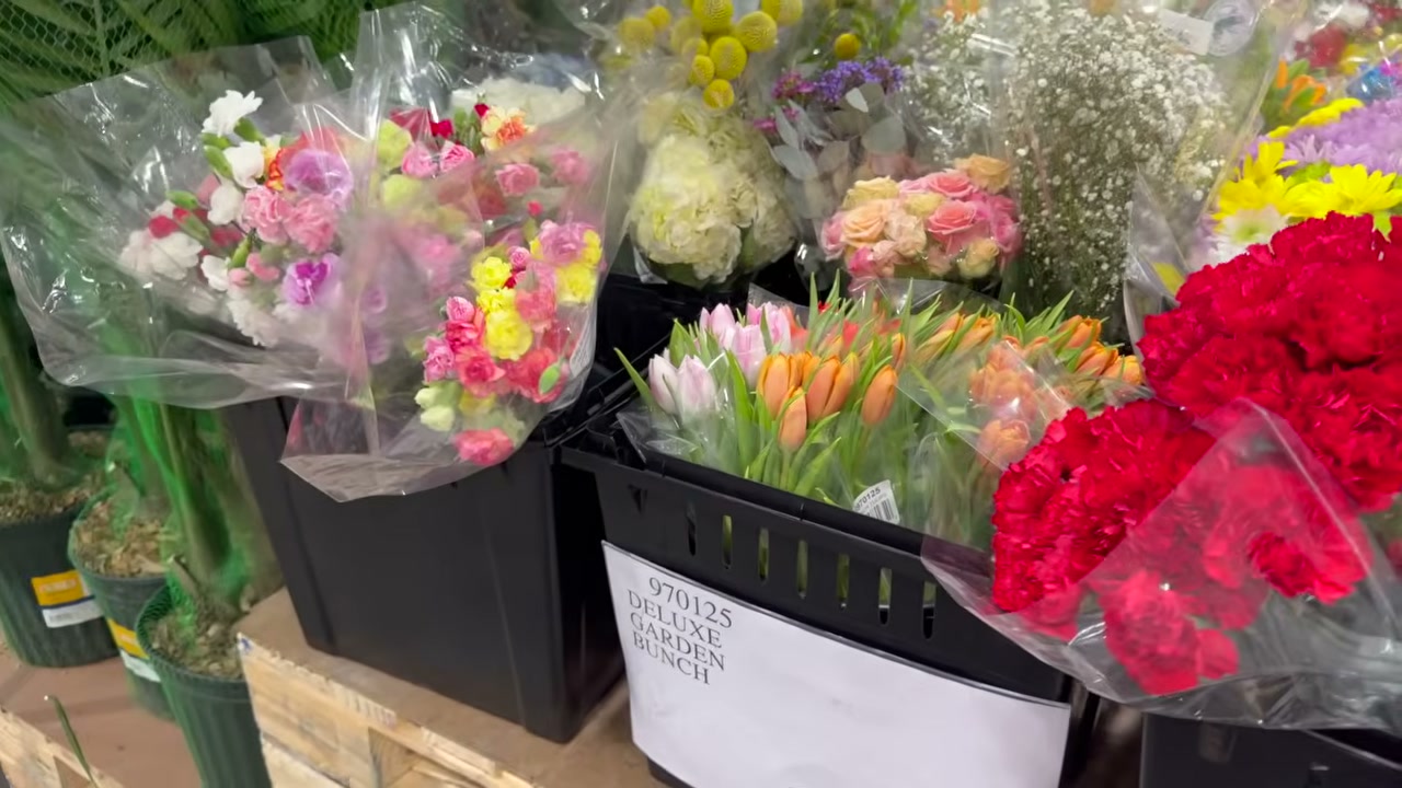 Deluxe Garden Bunch - $10.99 at Costco