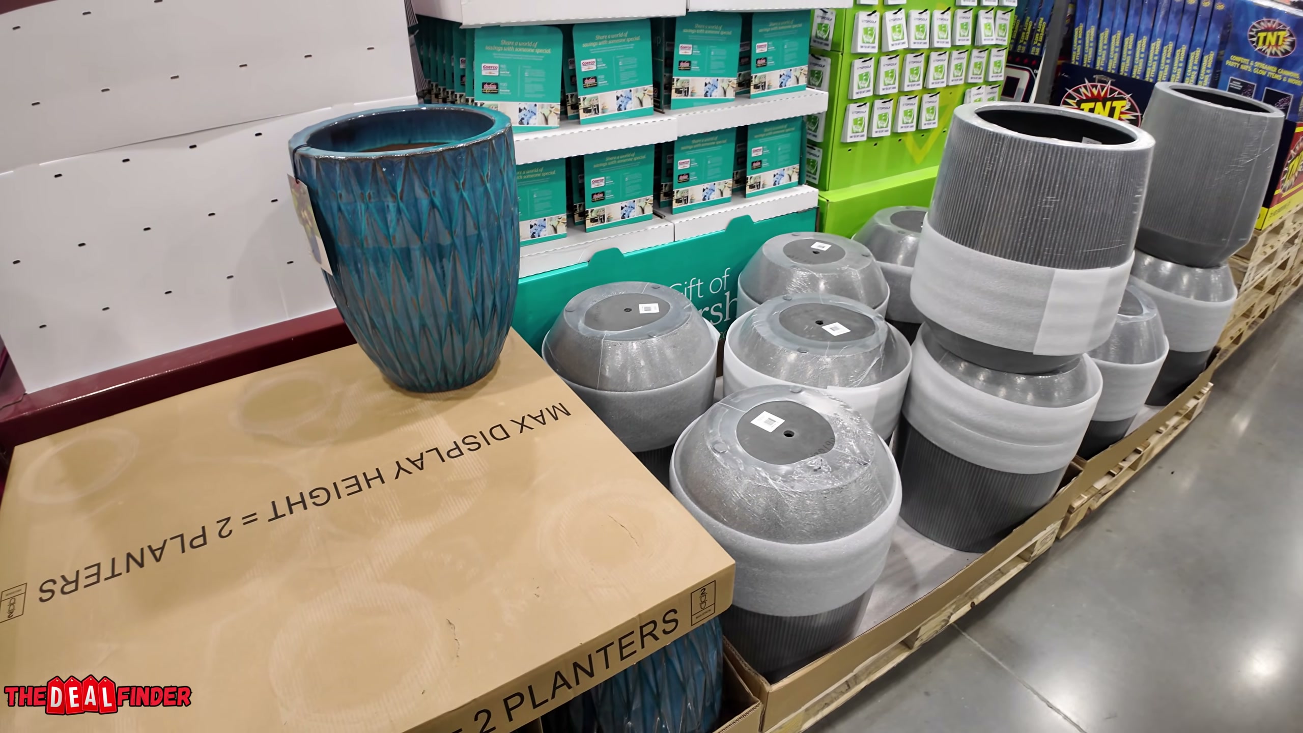 コストコボーダー935号 Medium Glazed Ceramic Planter (#1933873) - $9.97 (down from $29.99)
