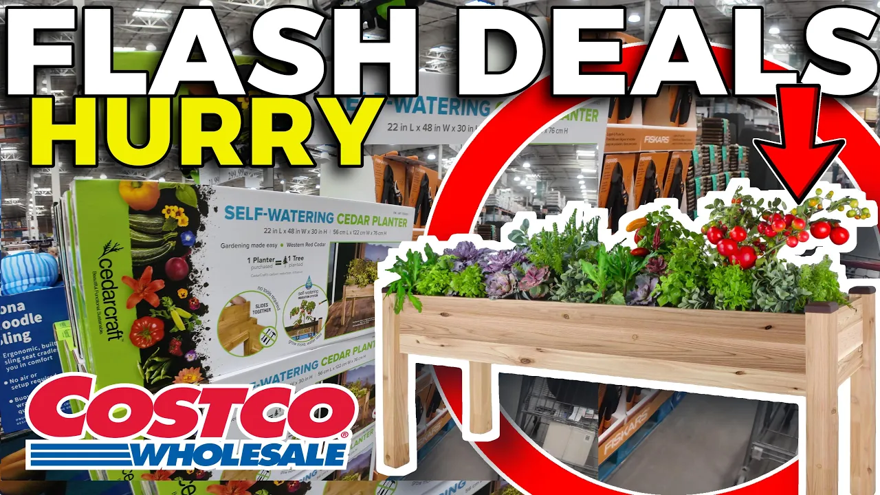HURRY 28 Costco FLASH DEALS You Should Be Buying in March 2026
