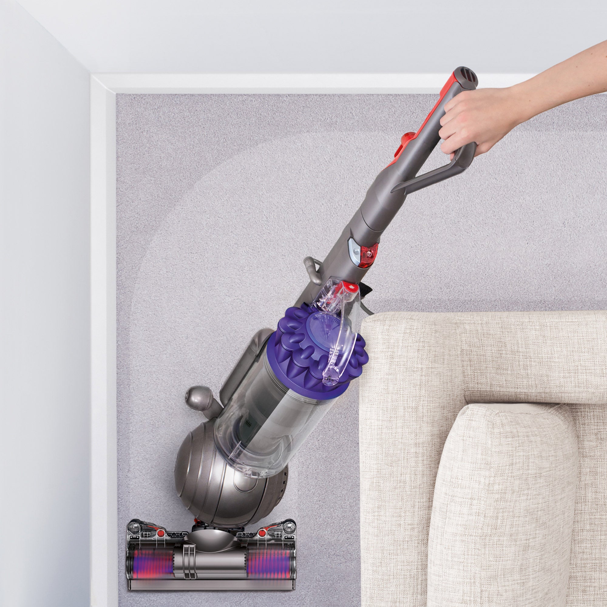 Dyson Ball Animal+ Upright Vacuum (#2990603) - $239.97