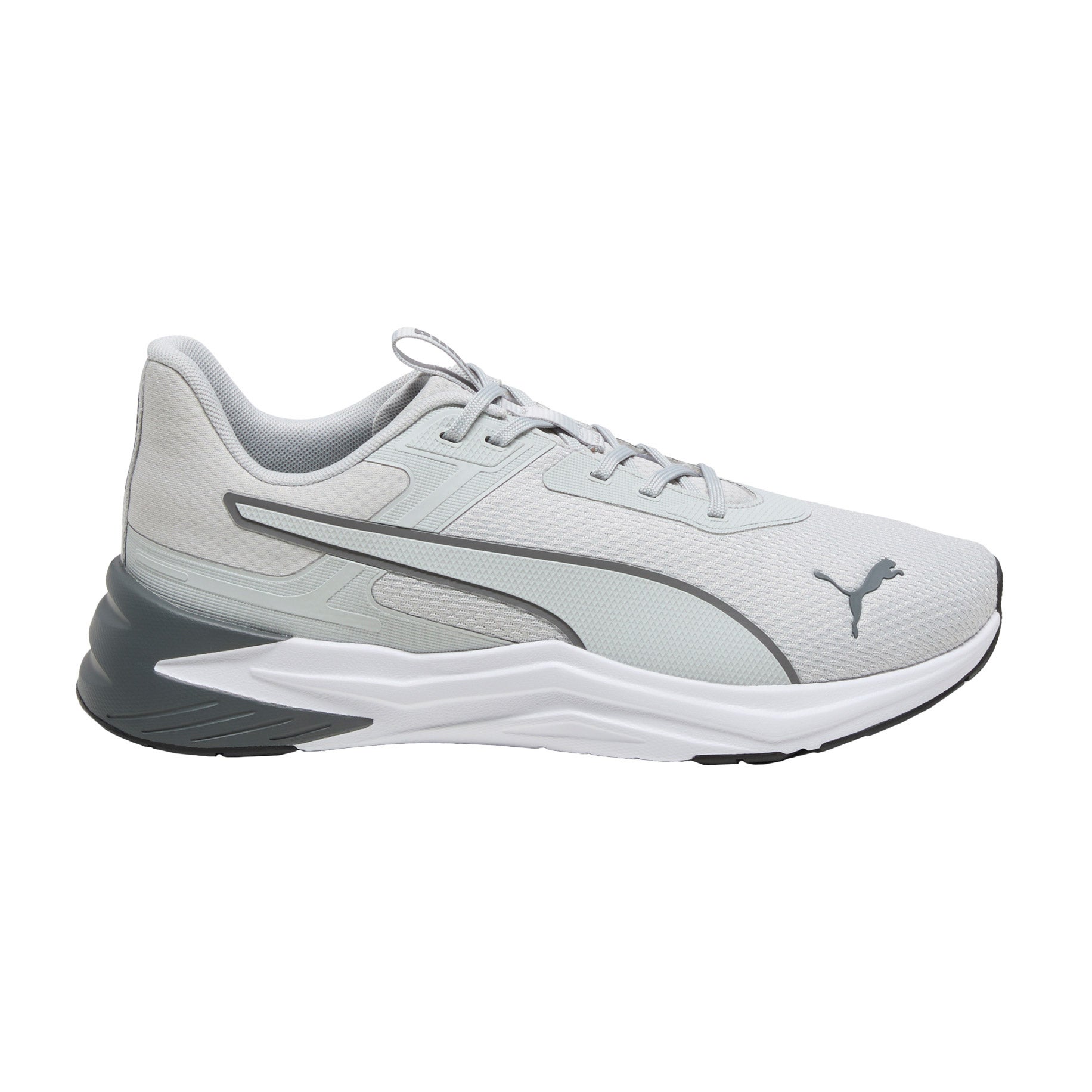 Puma Men display picture 1