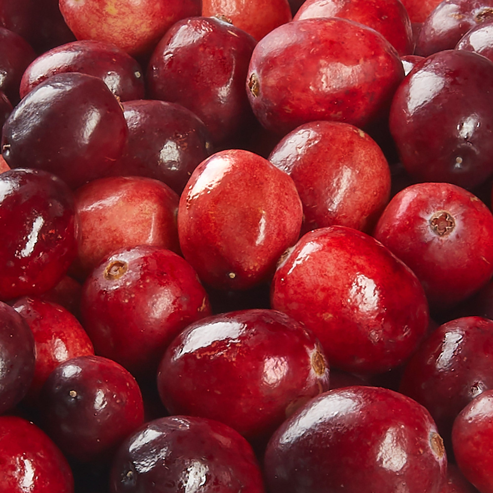 Fresh Cranberries 2 lbs - $1.99 at Costco