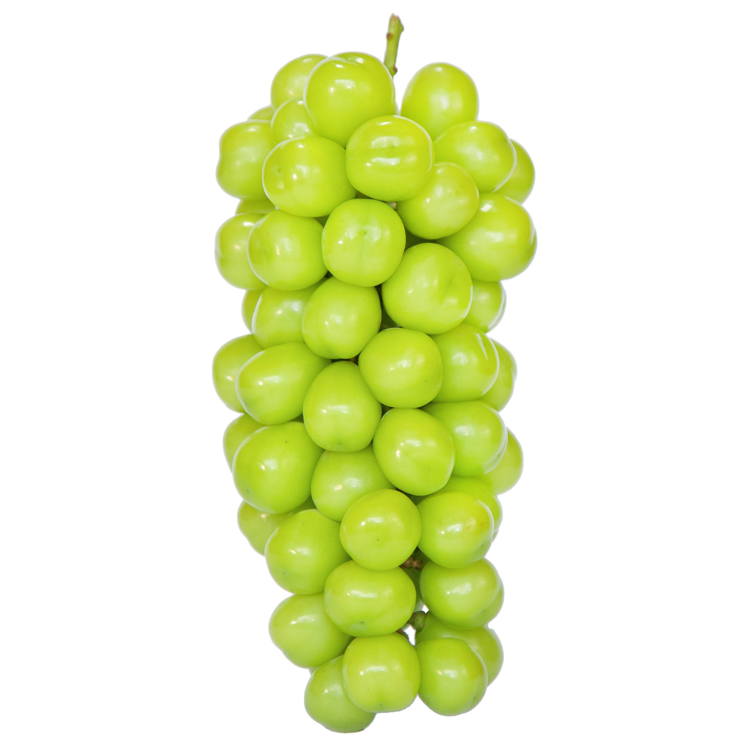 Korean Shine Muscat Grapes, 600 Grams (#569) - $7.49 (down from