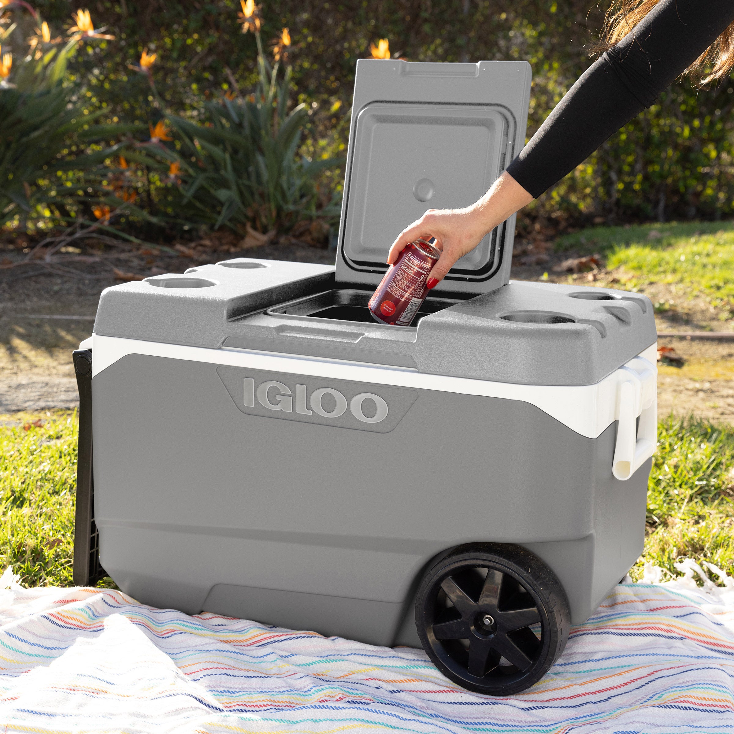 Igloo 90QT MaxCold Latitude Wheeled Cooler with Quick Access