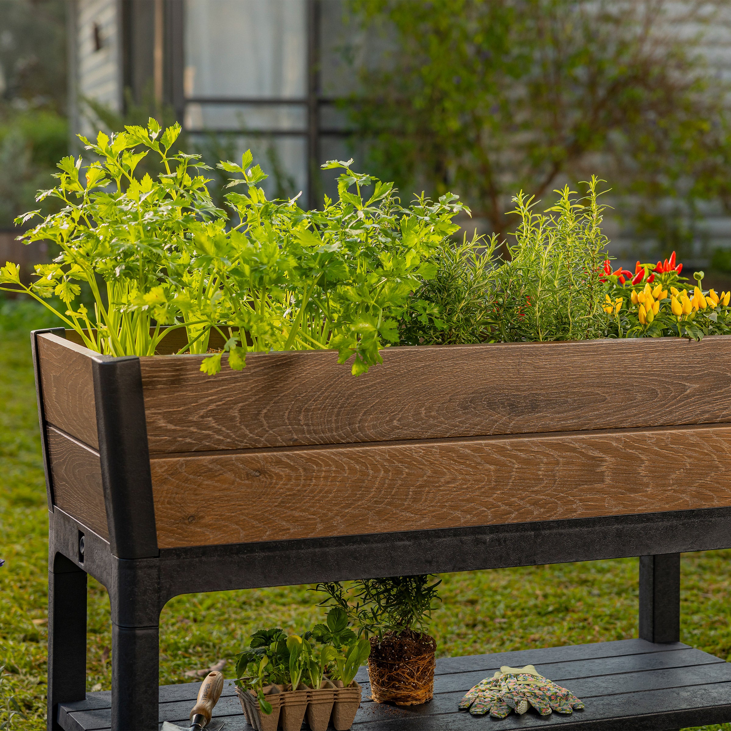 KETER WALNUT ELEVATED GARDEN BED - Thumbnail 4