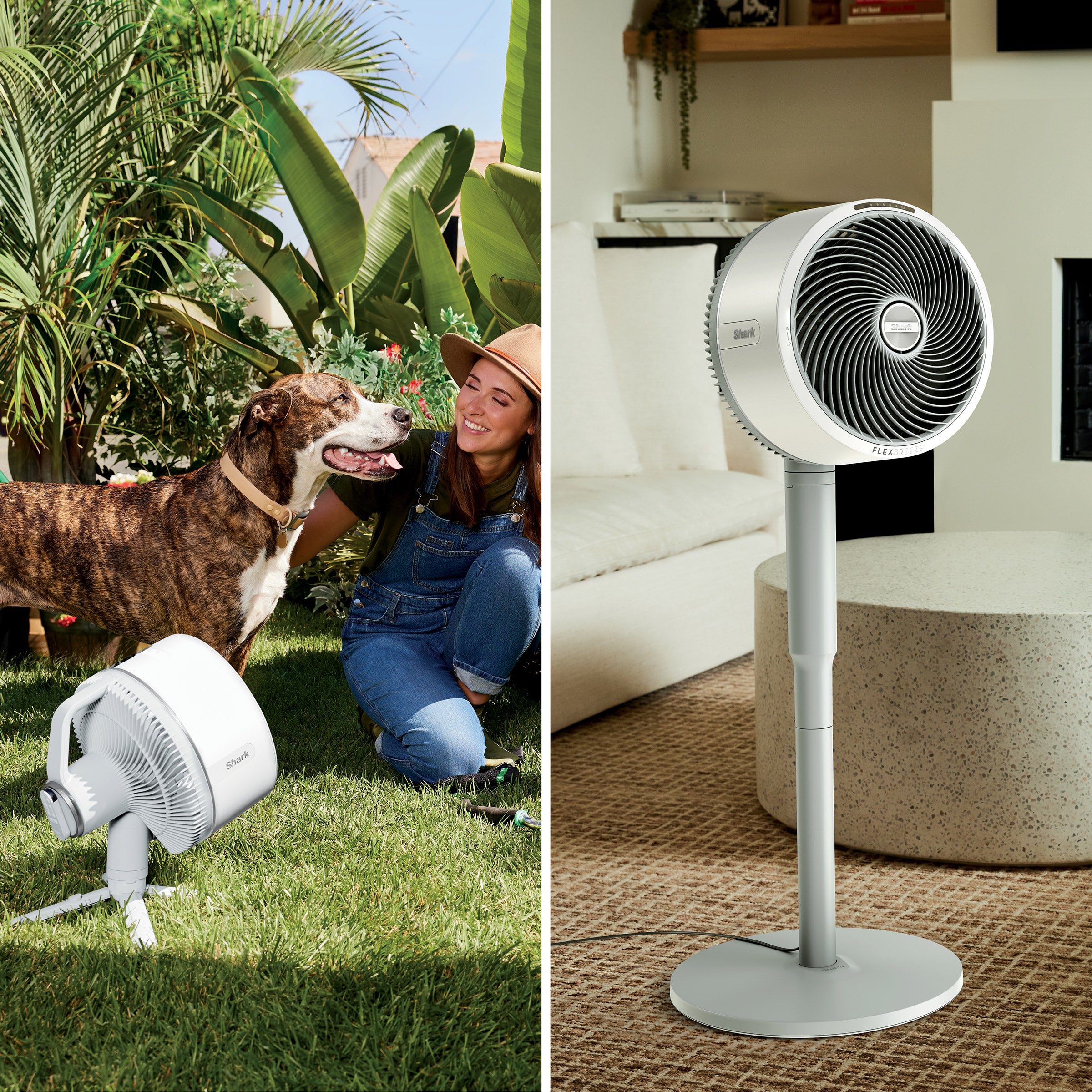 SHARK 2-IN-1 CORDLESS FAN - Thumbnail 2