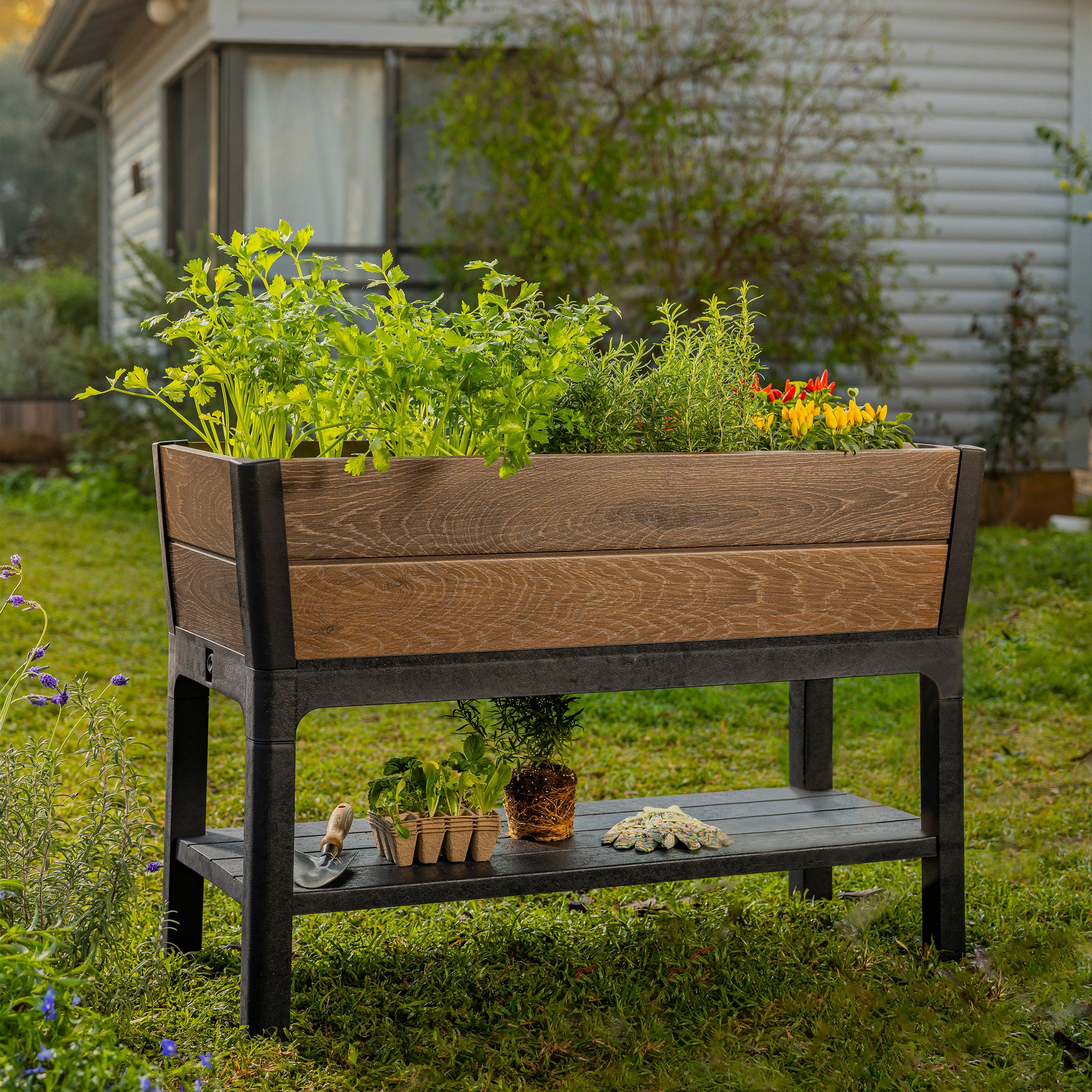 KETER WALNUT ELEVATED GARDEN BED - Thumbnail 6