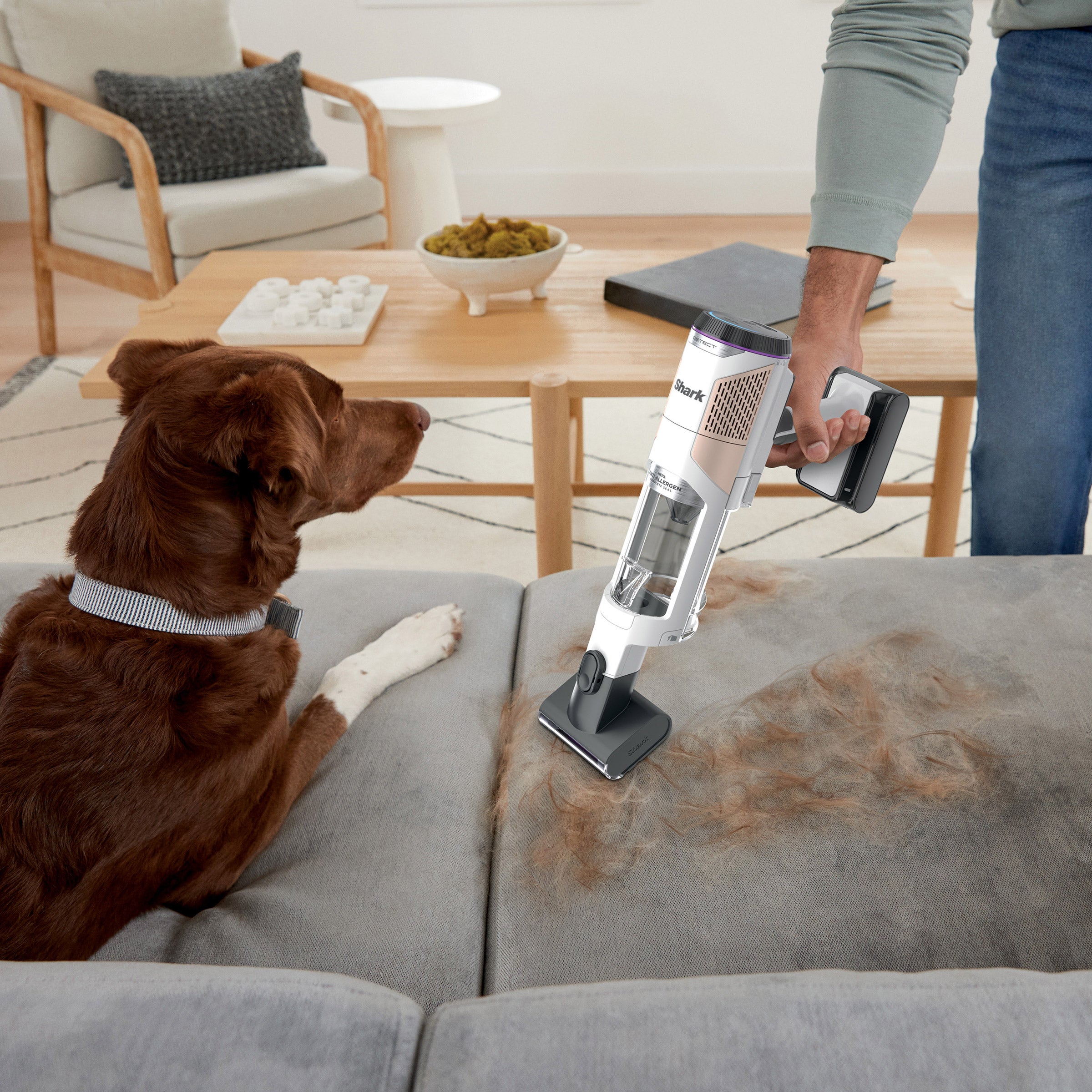 SHARK DETECT CORDLESS STICK VACUUM WITH AUTOEMPTY BASE ^ - Thumbnail 5
