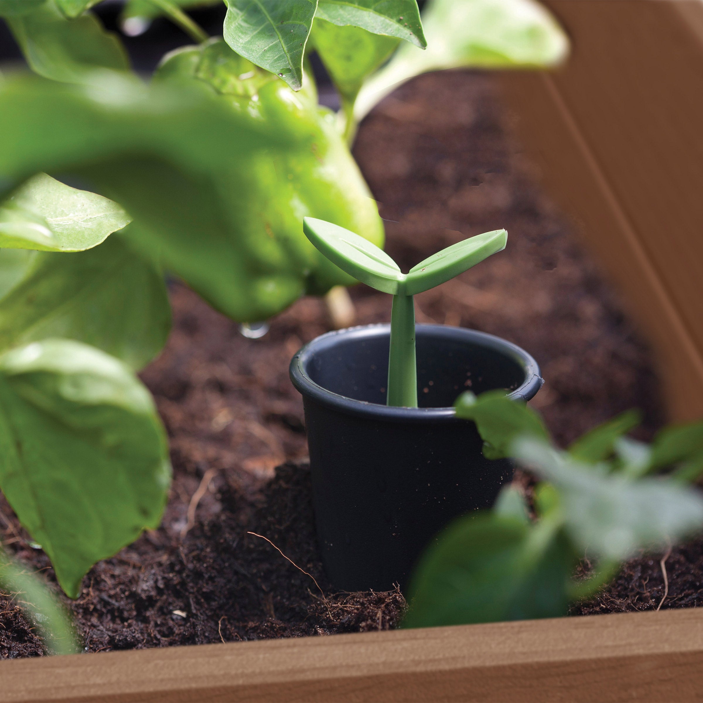 KETER WALNUT ELEVATED GARDEN BED - Thumbnail 11