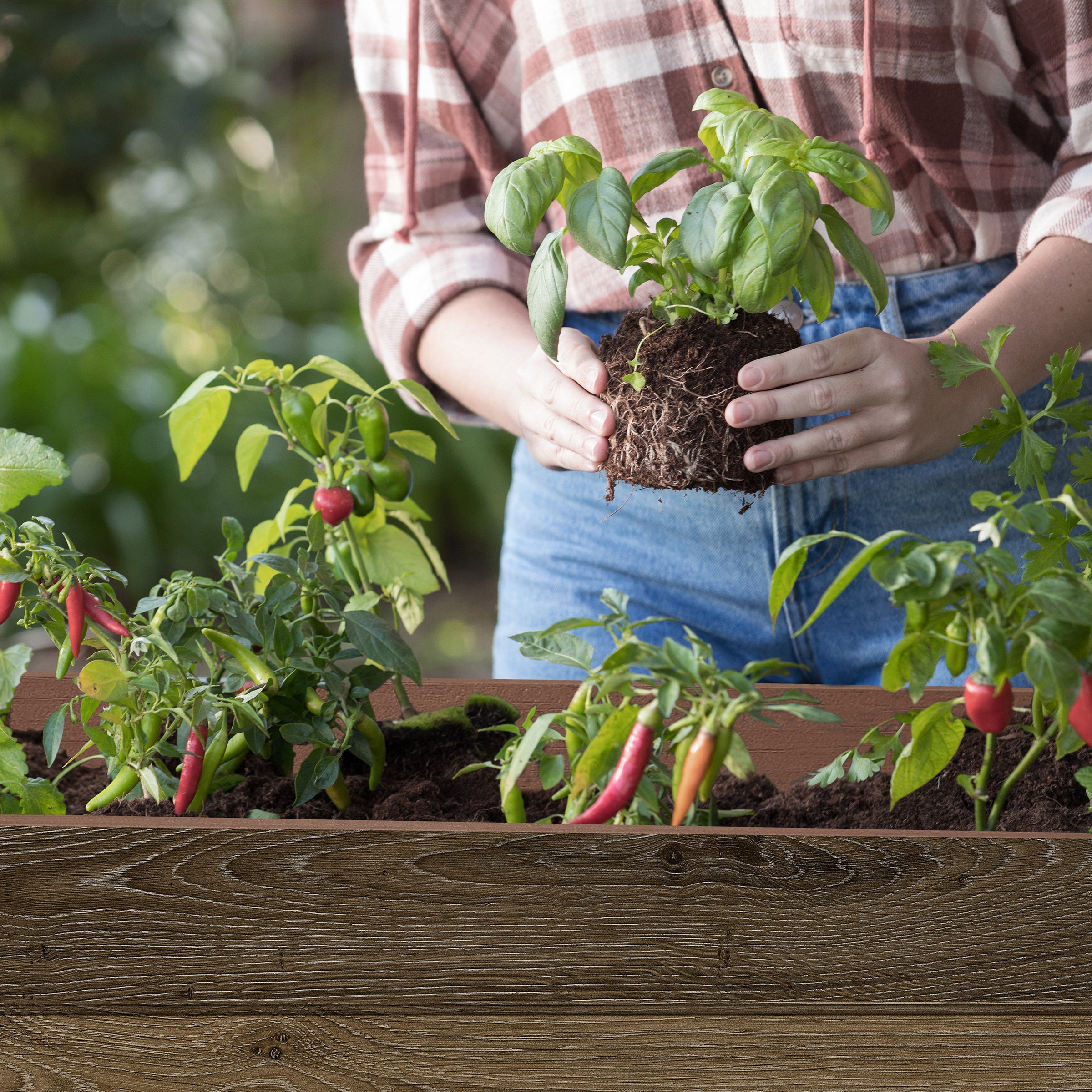 KETER WALNUT ELEVATED GARDEN BED - Thumbnail 10