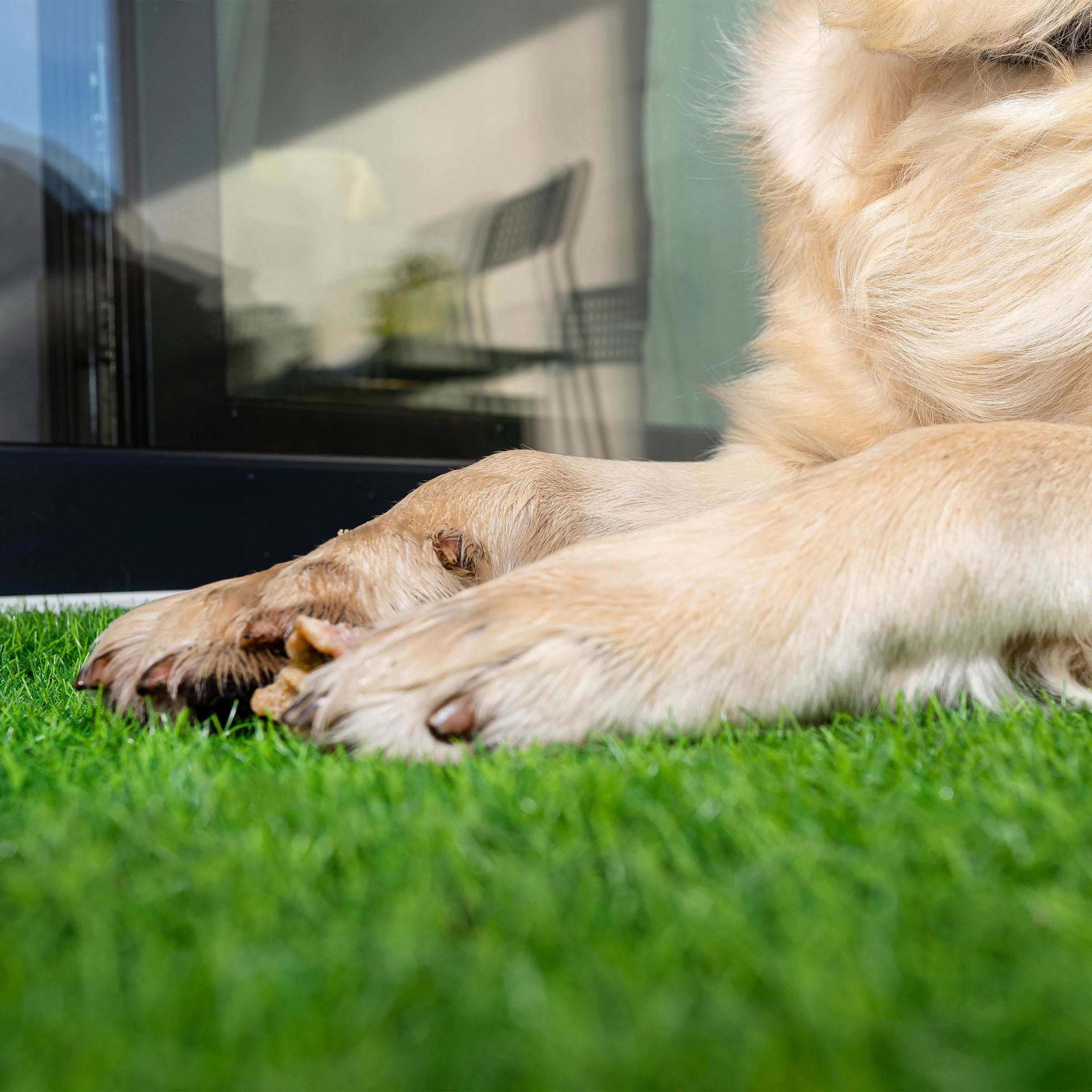 PREGRA FESCUE ARTIFICIAL TURF 6'X8' - Thumbnail 2