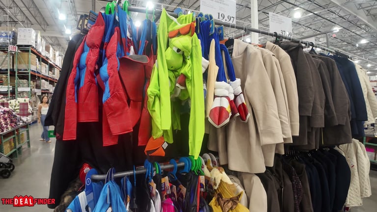 Marvel Licensed Costume Assortment