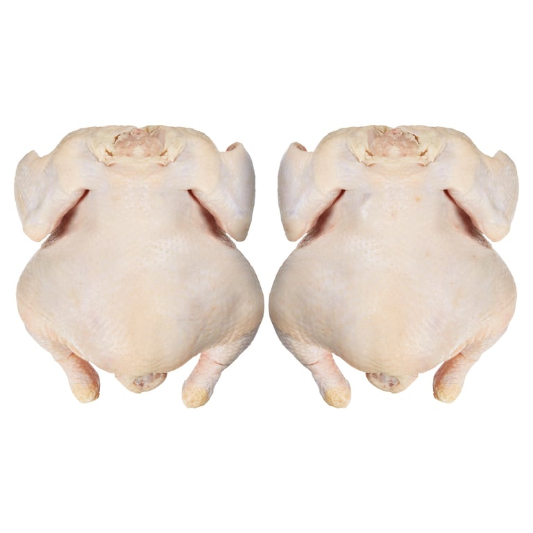 Fresh Organic Chicken Whole Bagged Fryers Per Lb