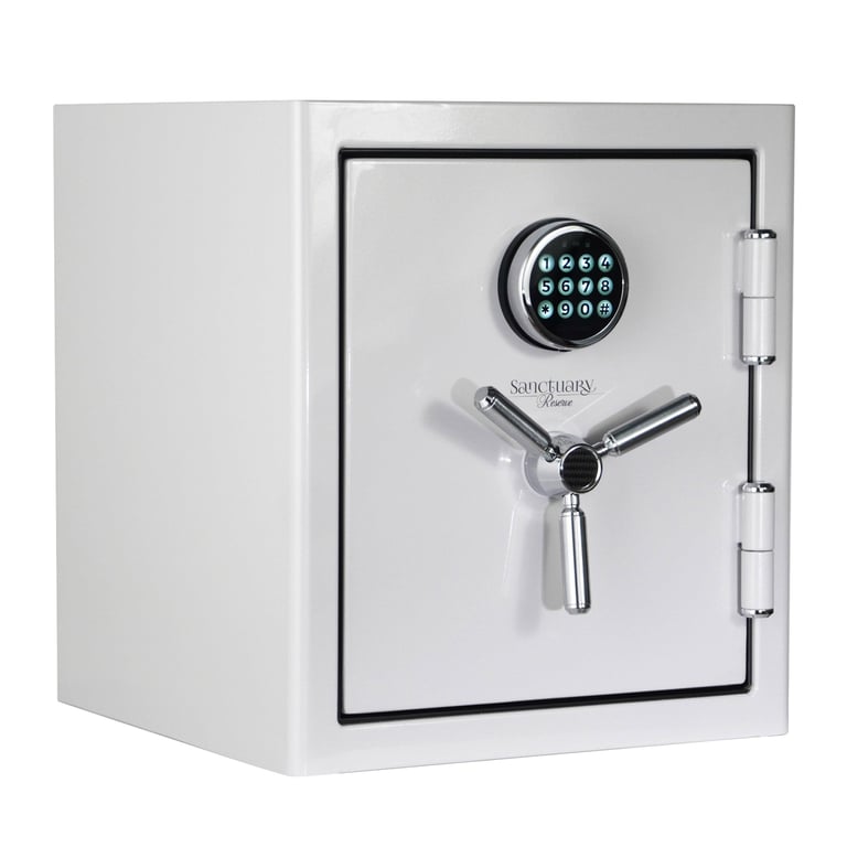 Sanctuary Reserve 1.69 Cu. Ft. Home & Office Safe with Electronic Lock