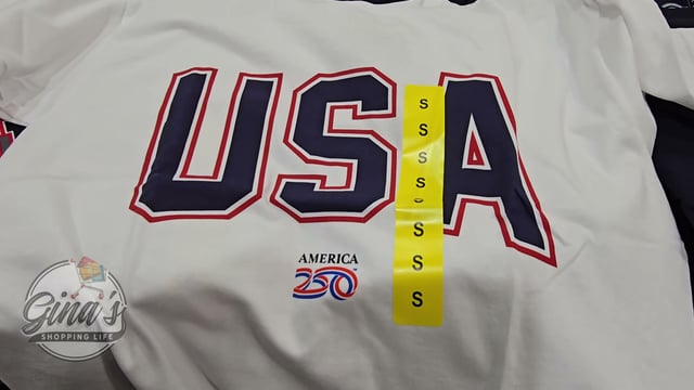 Dickies Men's Americana Tee
