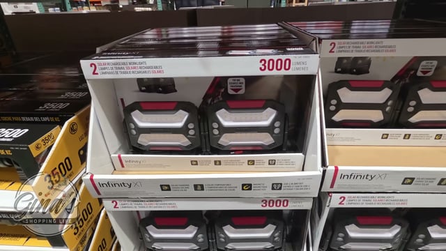 Infinity X1 Solar 3000L Lights Worklights 2 Pack