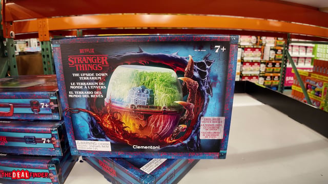 Terrarium Kit Assortment - Harry Potter or Stranger Things