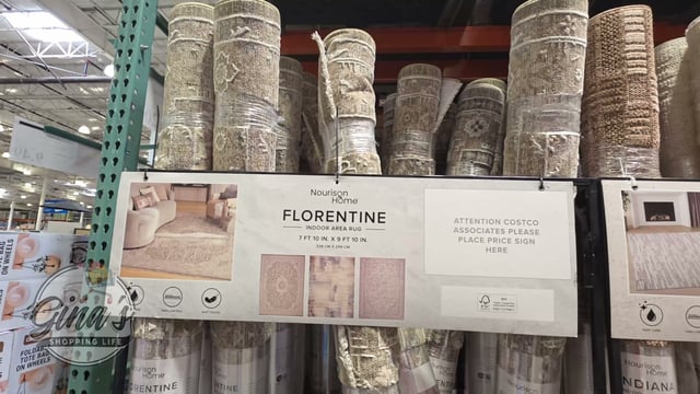 Nourison Florentine Area Rug 7'10" x 9'10"