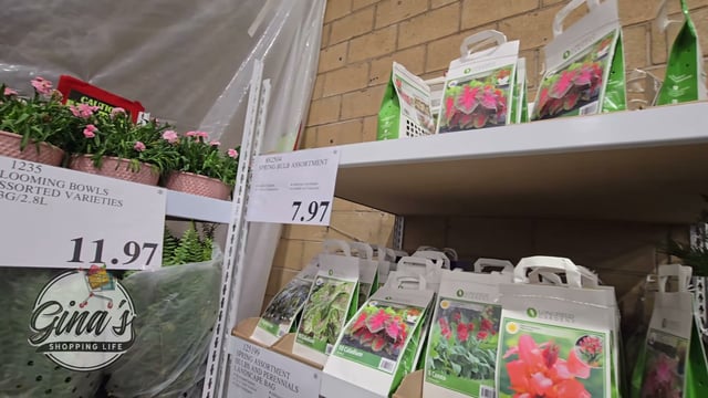 Spring Bulb Assortment