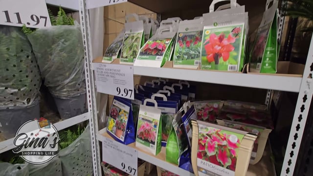 Spring Assortment Bulbs and Perennials Landscape Bag
