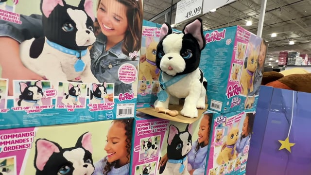 Just Play FurReal Train and Play Frenchie Assortment