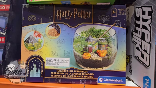 Terrarium Kit Assortment - Harry Potter or Stranger Things