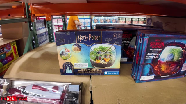 Terrarium Kit Assortment - Harry Potter or Stranger Things