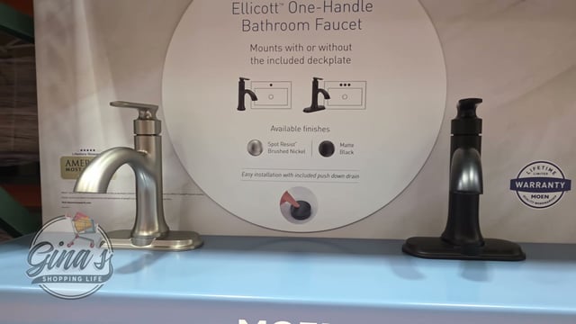 Moen Ellicott Single Hole Bathroom Faucet