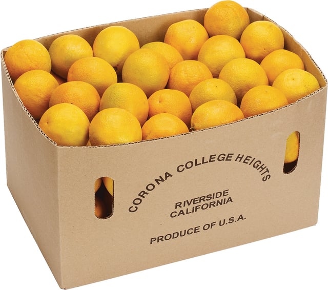 Oranges Full Case