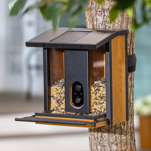 Evergreen Smart Bird Feeder