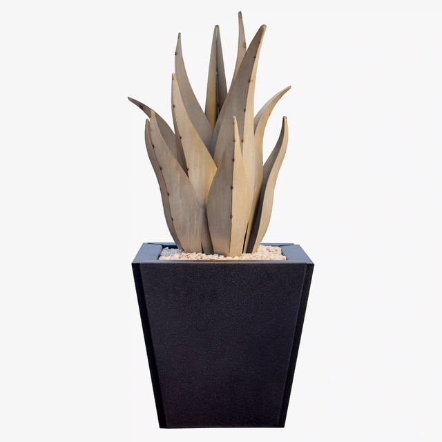 Snake Agave and Planter Set by Desert Steel