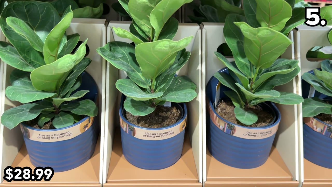 2-Pack 6" Foliage Bookend / Wall Planter