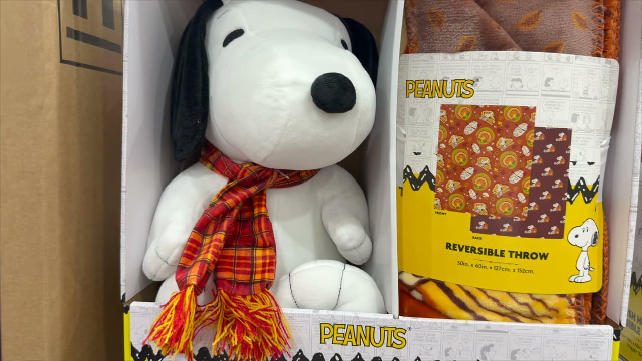 Peanuts Snoopy Plush Hugger & Reversible Throw Set