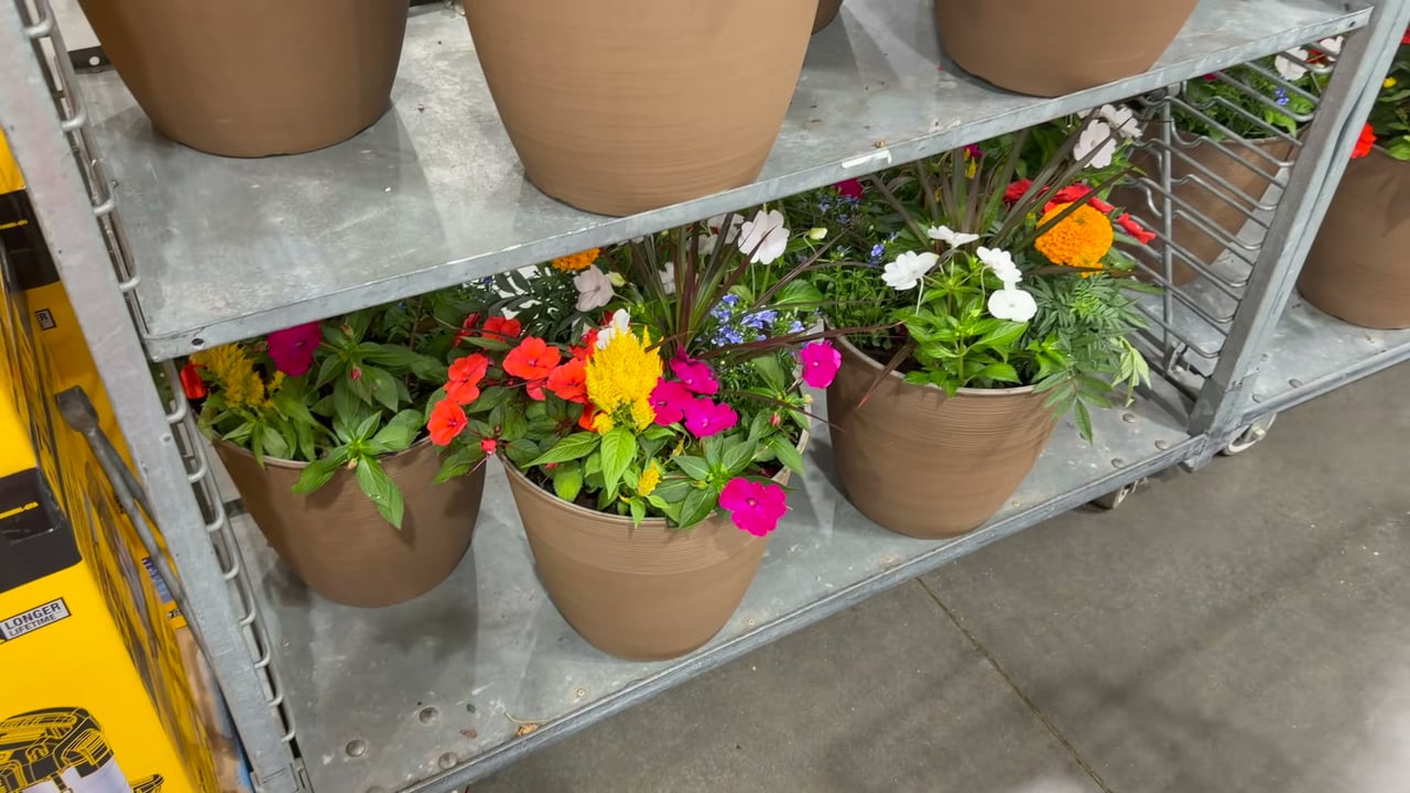 16" Premium Combo Planter
