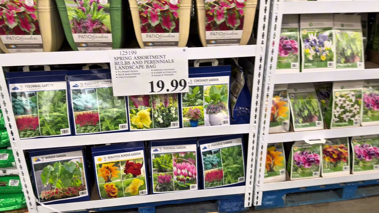 Enduring Blooms Perennial Assortment