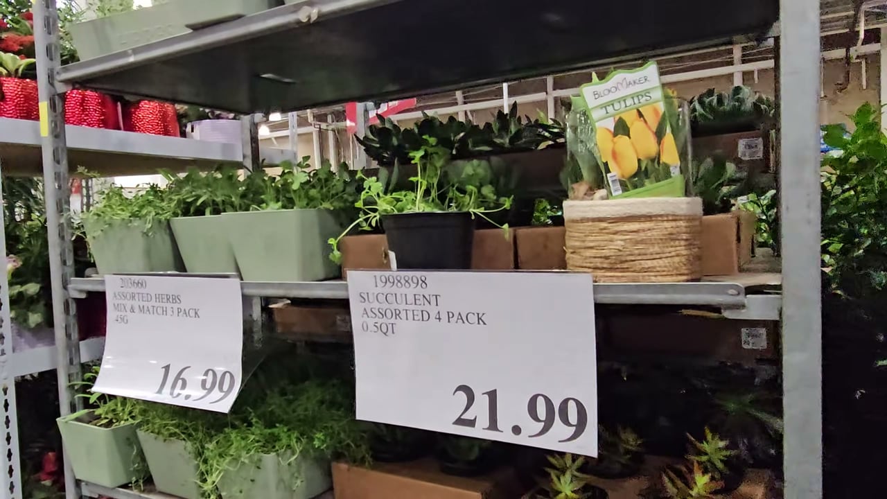 Vegetable & Herb Assorted Varieties 3-Pack Mix & Match, 3 Qt/2.8L
