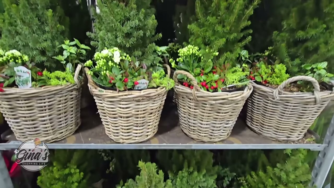 Holiday Basket 12.39L