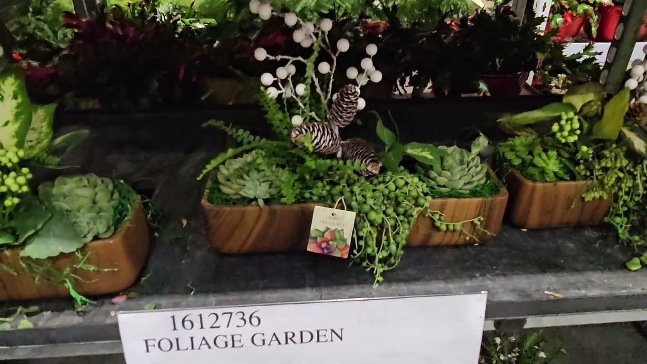 Holiday Foliage Garden 56oz / 1.65L