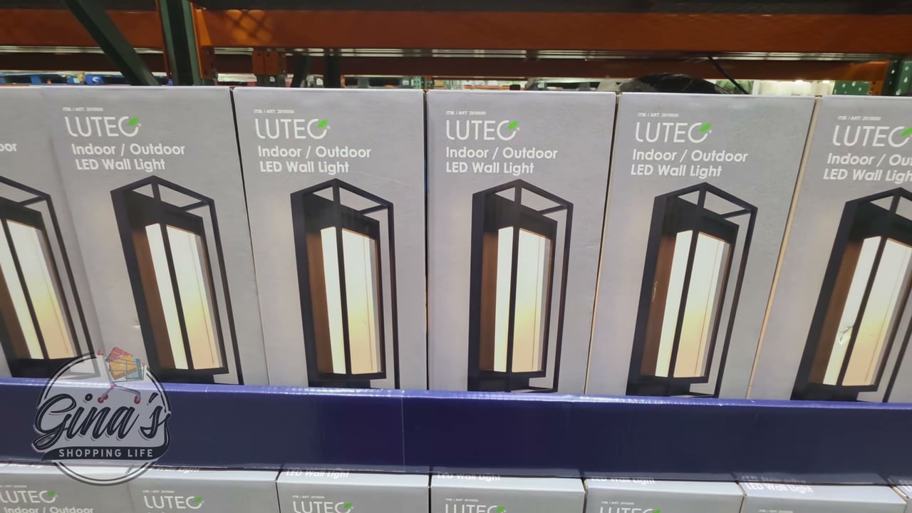 LUTEC 13.5" Modern Wall Light
