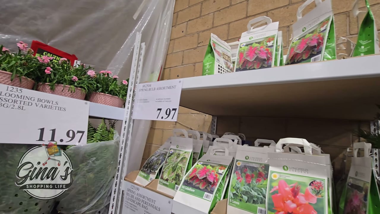 Spring Bulb Assortment