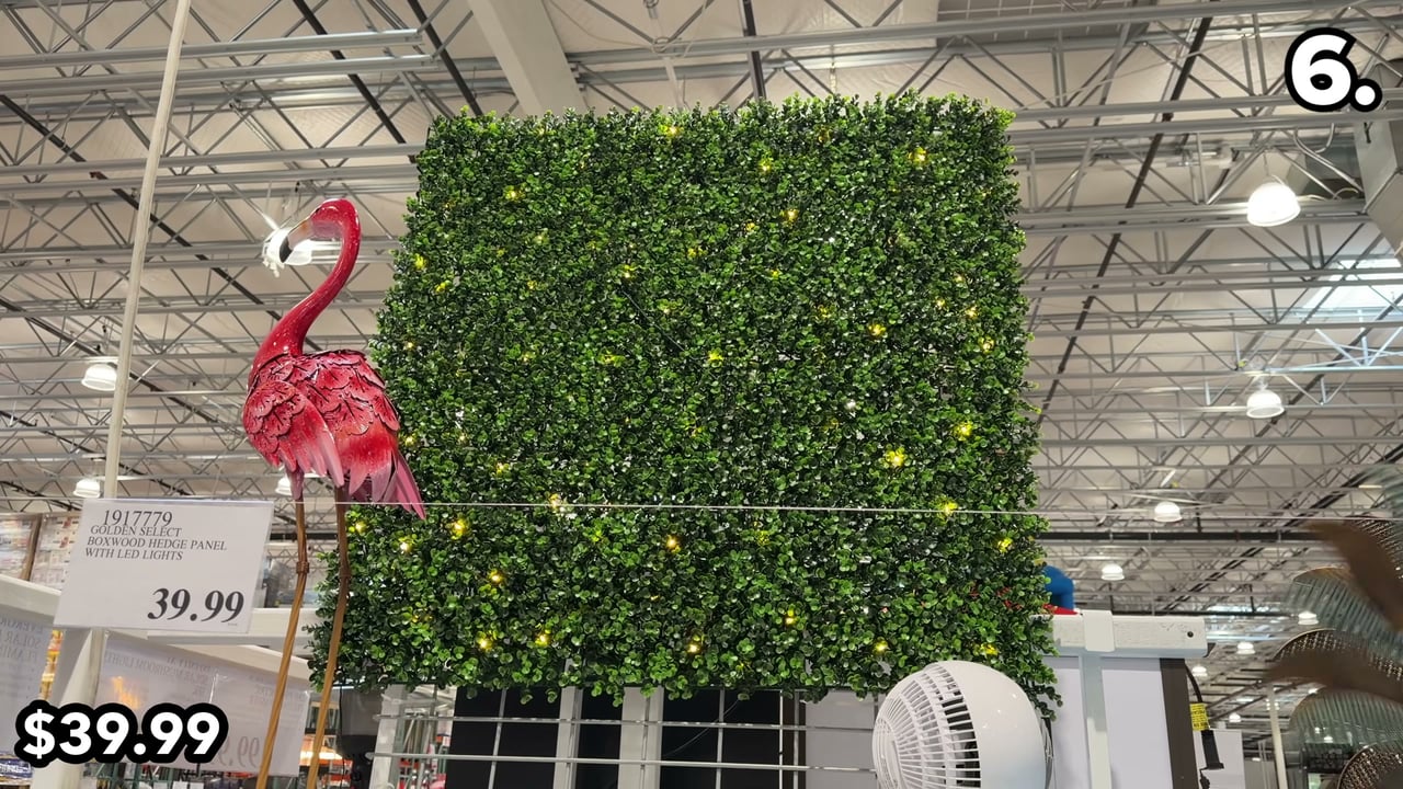 Golden Select Boxwood Artificial Hedge Panel with Lights