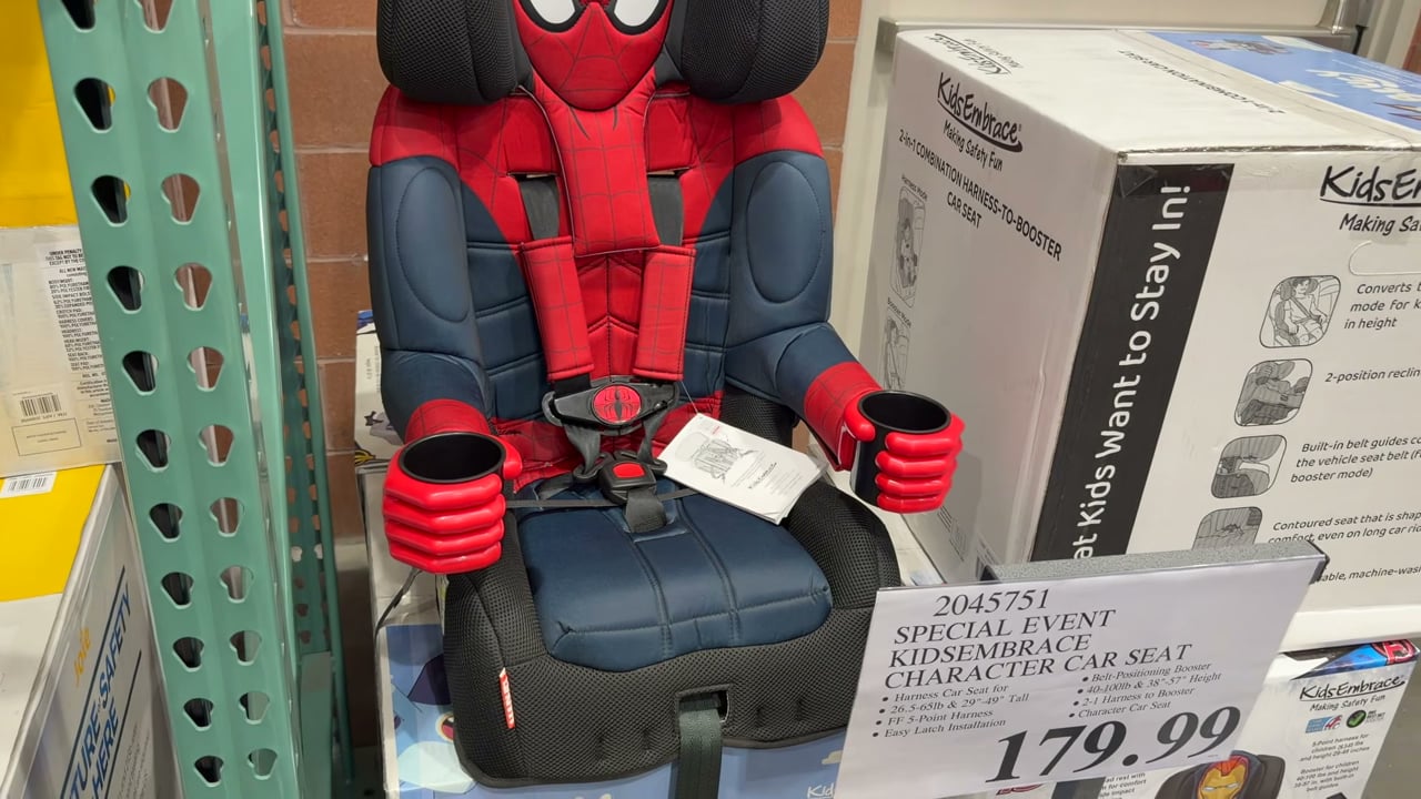 KidsEmbrace Character Car Seat