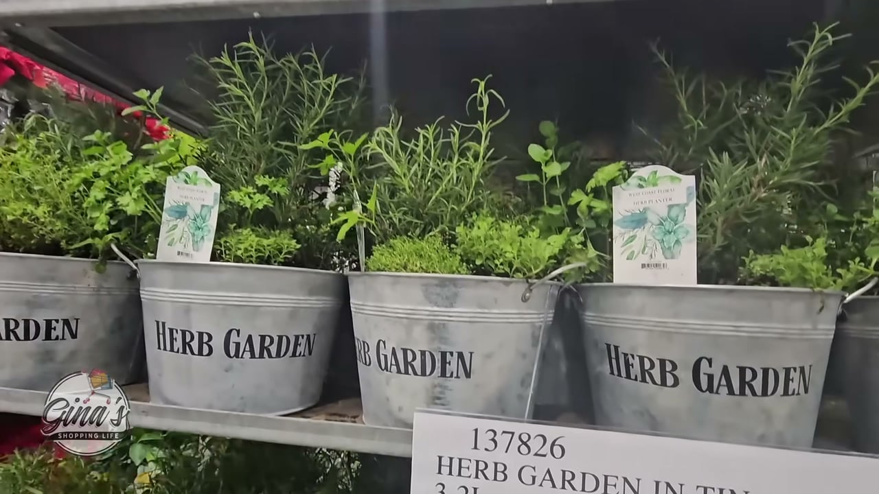 Herb Garden in Tin, 3.2L